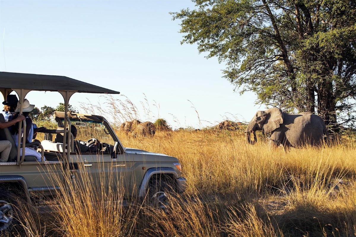 Gondwana Collection Namibia — tour operator in 42 Nelson Mandela Ave, Namibia – photo 1
