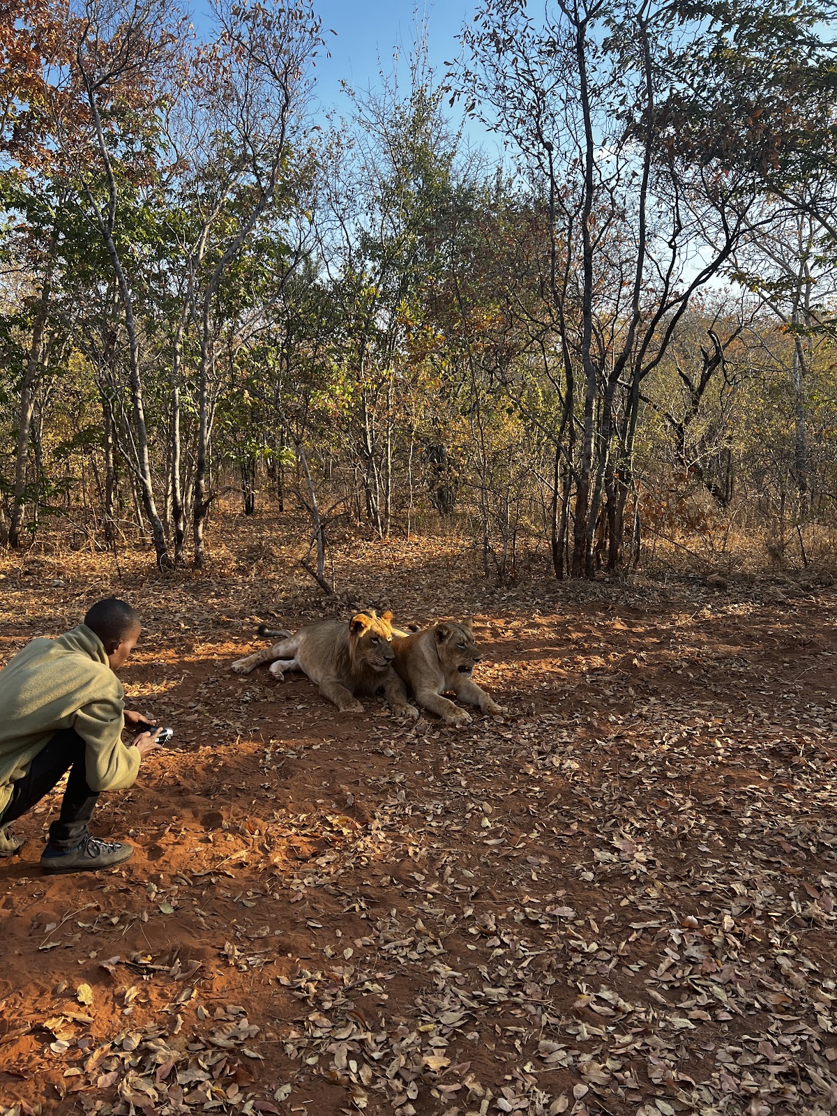 Mavumina Safaris And Tours — tour operator in Mosi - Oa - Tunya Road, Zambia – photo 3