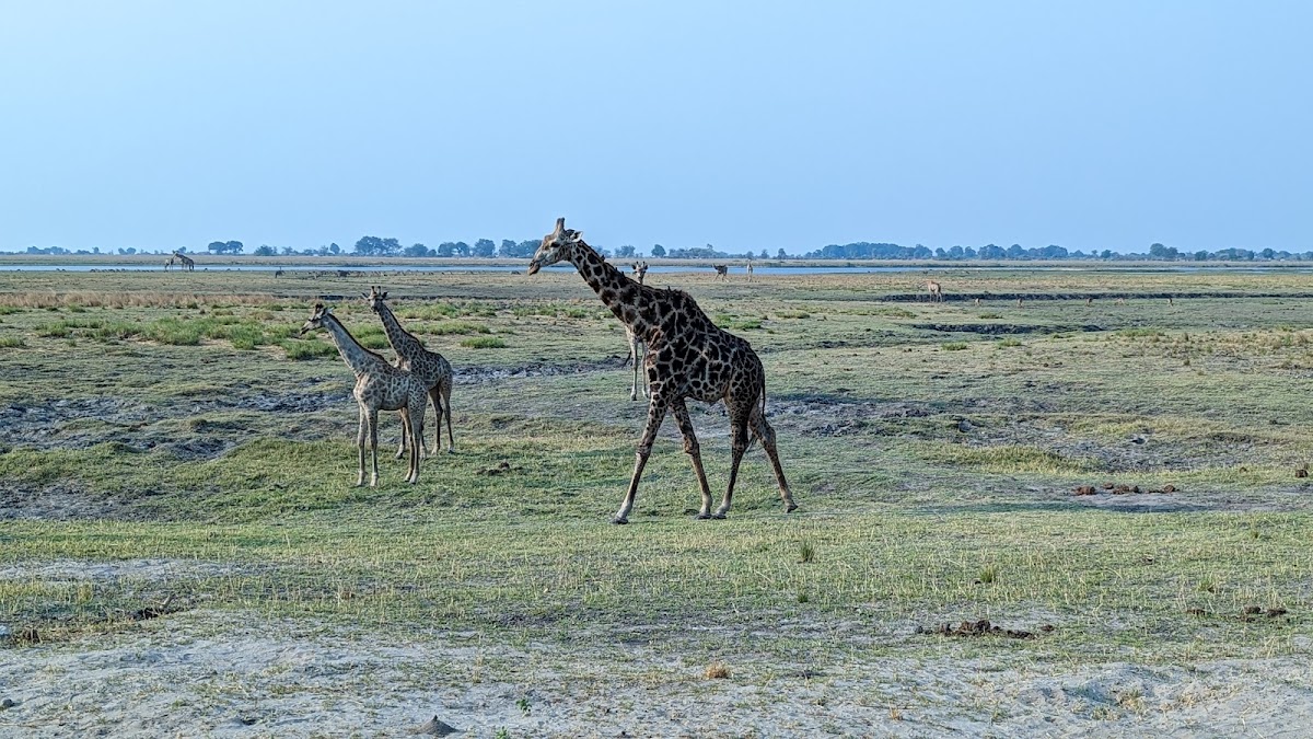 Africa Zim Travel & Tours — tour operator in 659 Manyika River, Zimbabwe – photo 4