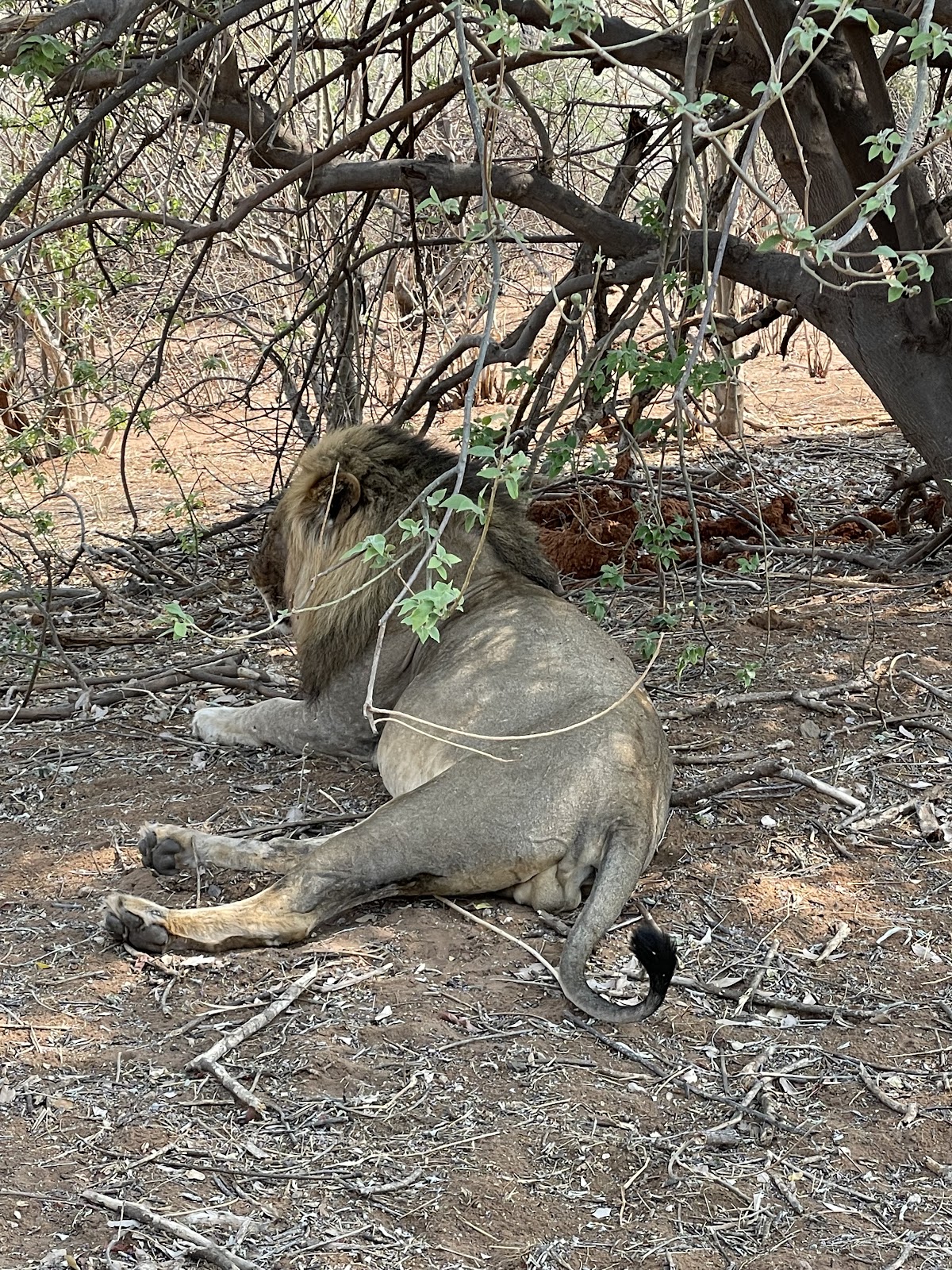 Africa Zim Travel & Tours — tour operator in 659 Manyika River, Zimbabwe – photo 5