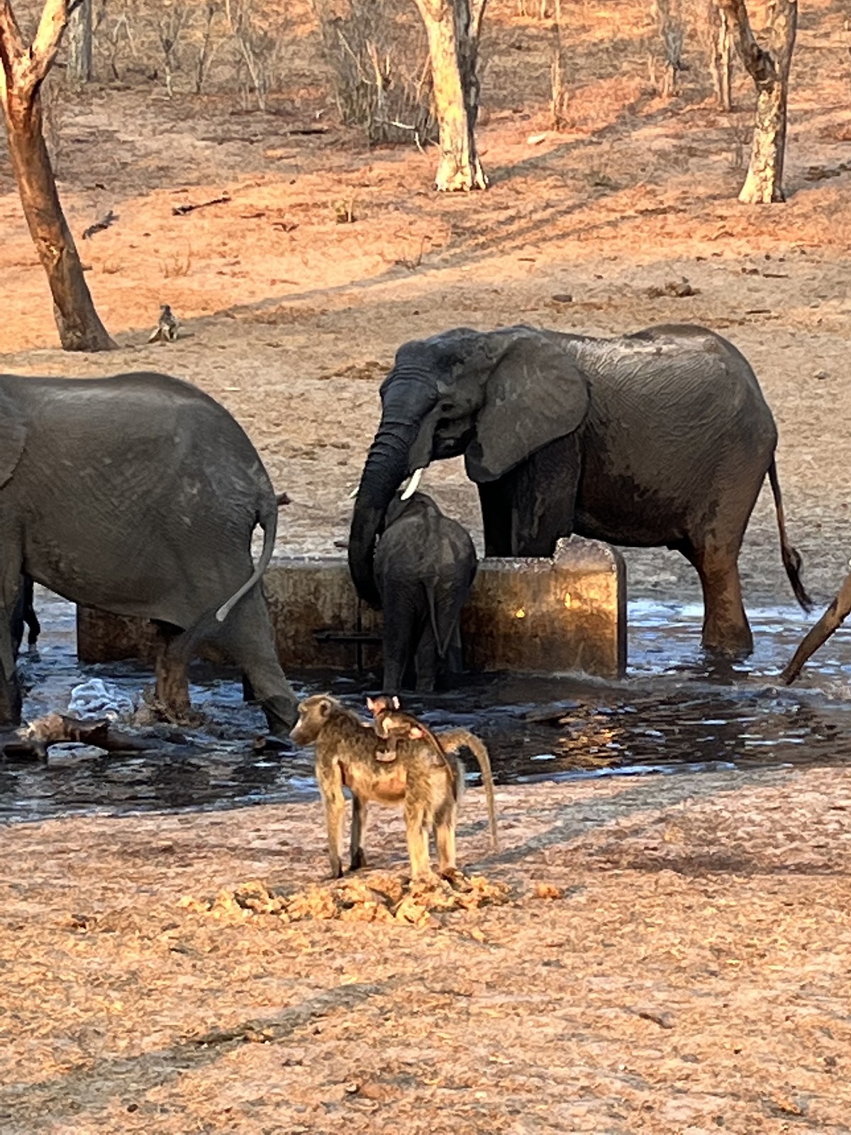 Africa Zim Travel & Tours — tour operator in 659 Manyika River, Zimbabwe – photo 2
