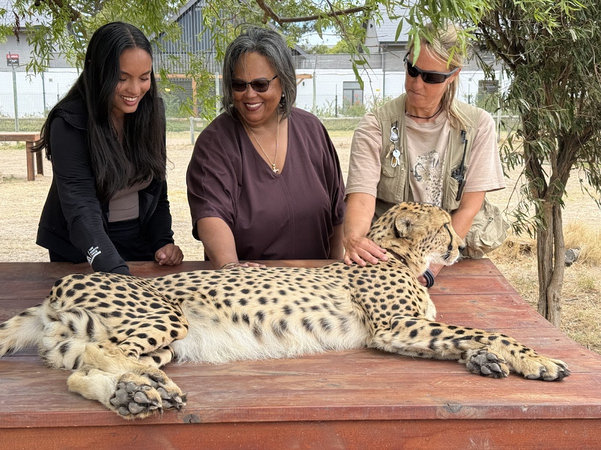 Wanderer Cape Town Tours & Travel - Private Cape Town Tours — tour operator in Cape Town, South Africa – photo 3