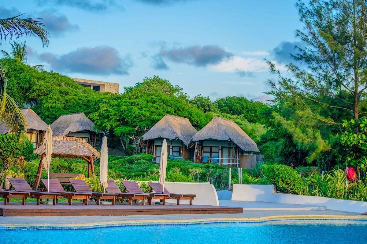 Royal Vacations — tour operator in & First Ave, Zimbabwe – photo 4