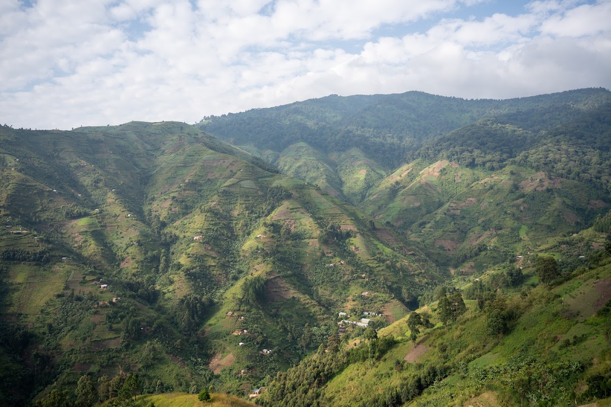 trek rwenzori tours | gorilla trekking | rwenzori trekking | safaris uganda — tour operator in Rukidi III St, Uganda – photo 3