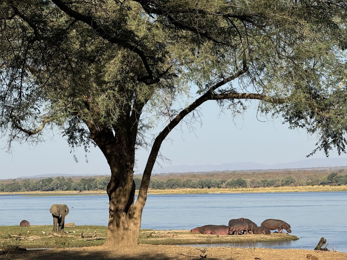 Safari B - Namibia & beyond — tour operator in Extension 10 Einstein, Namibia – photo 3