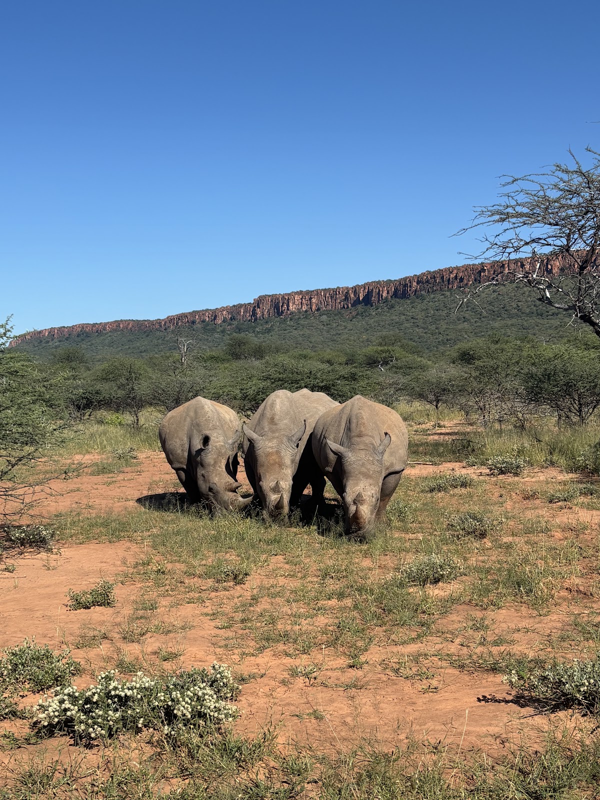 Safari B - Namibia & beyond — tour operator in Extension 10 Einstein, Namibia – photo 2