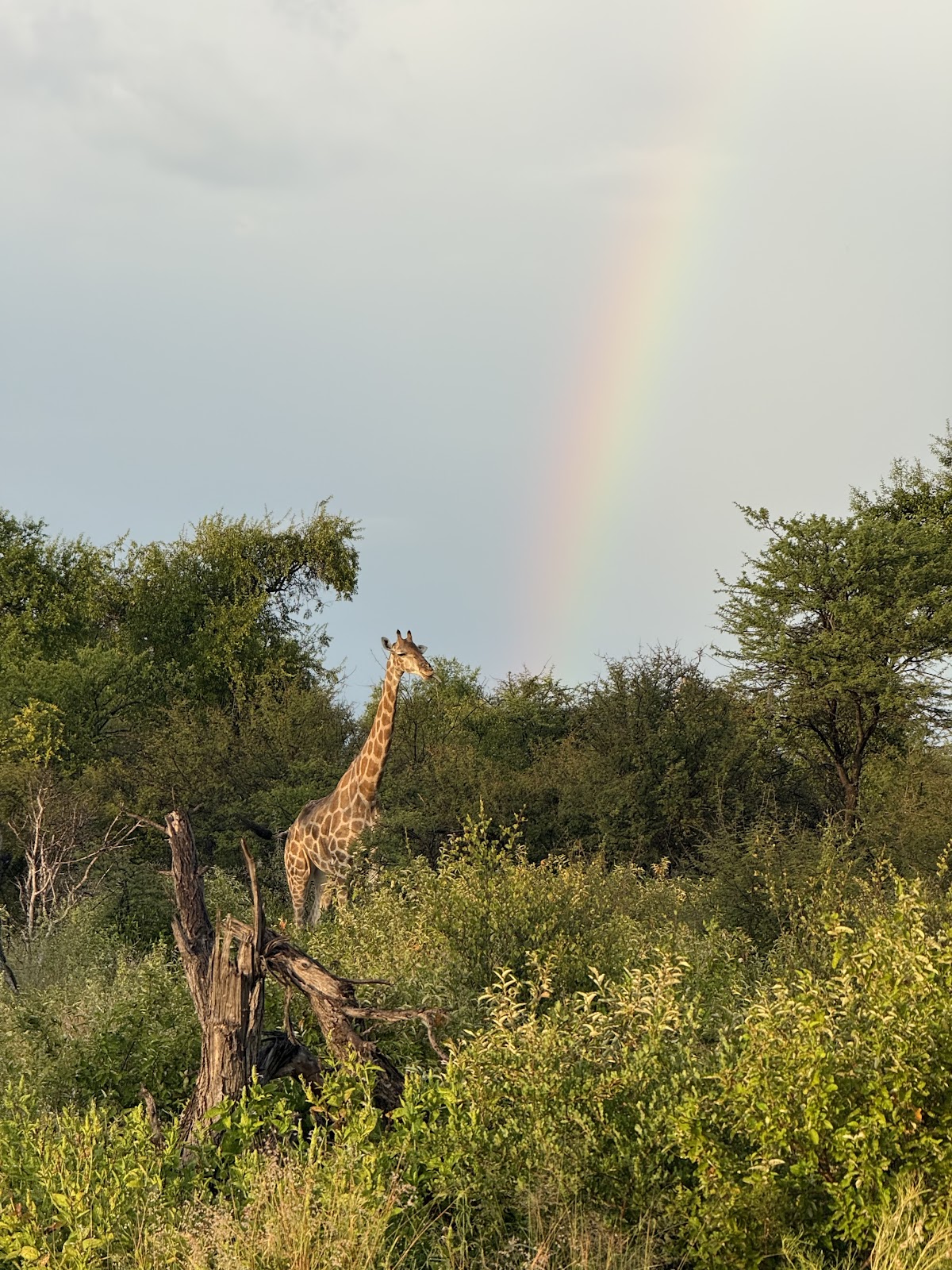 Safari B - Namibia & beyond — tour operator in Extension 10 Einstein, Namibia – photo 5