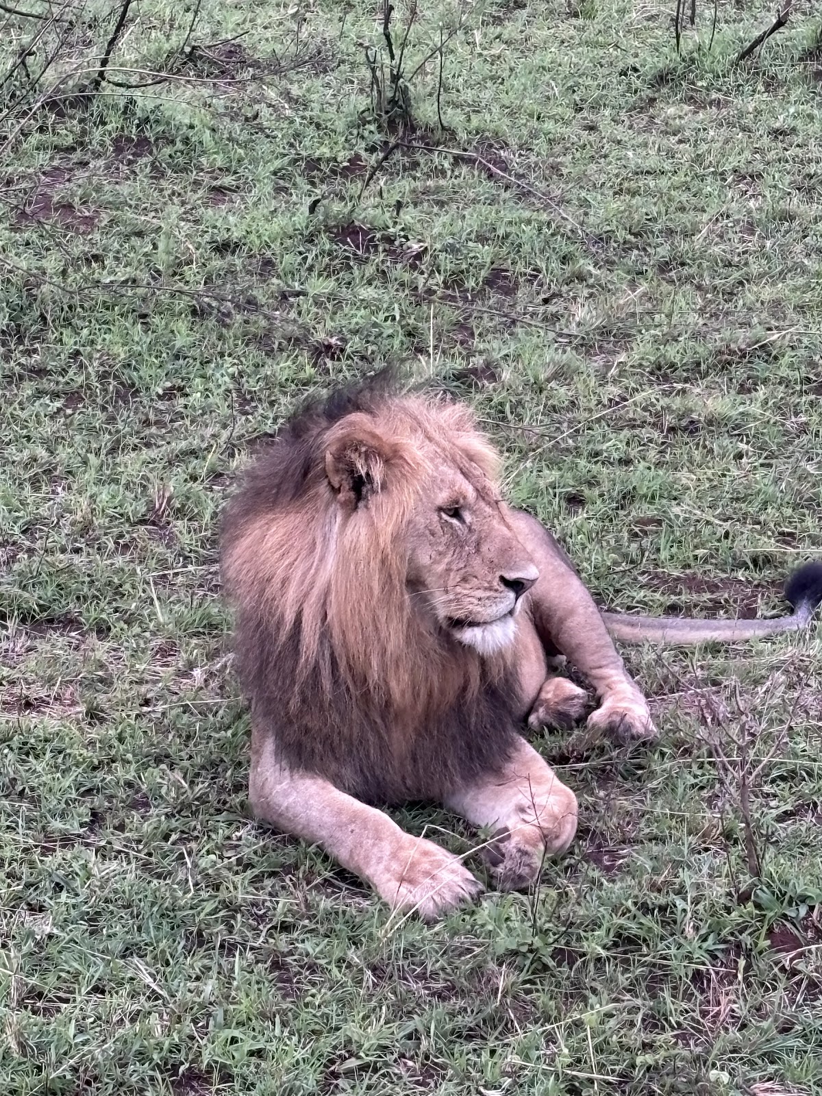Bigfoot Adventures Kenya — tour operator in Suna Rd, Kenya – photo 6