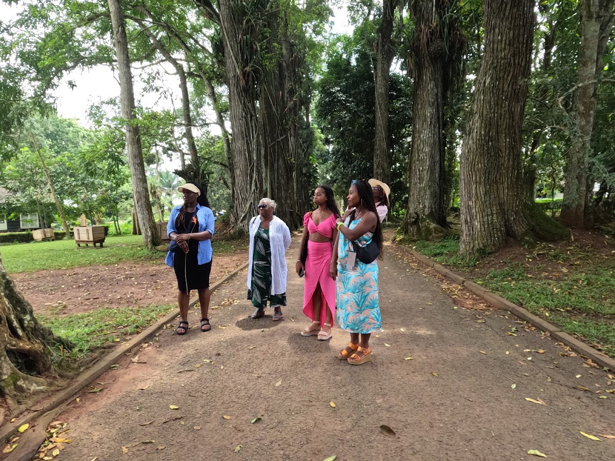 Timeh Tours — tour operator in GM-029-4289, Ghana – photo 3
