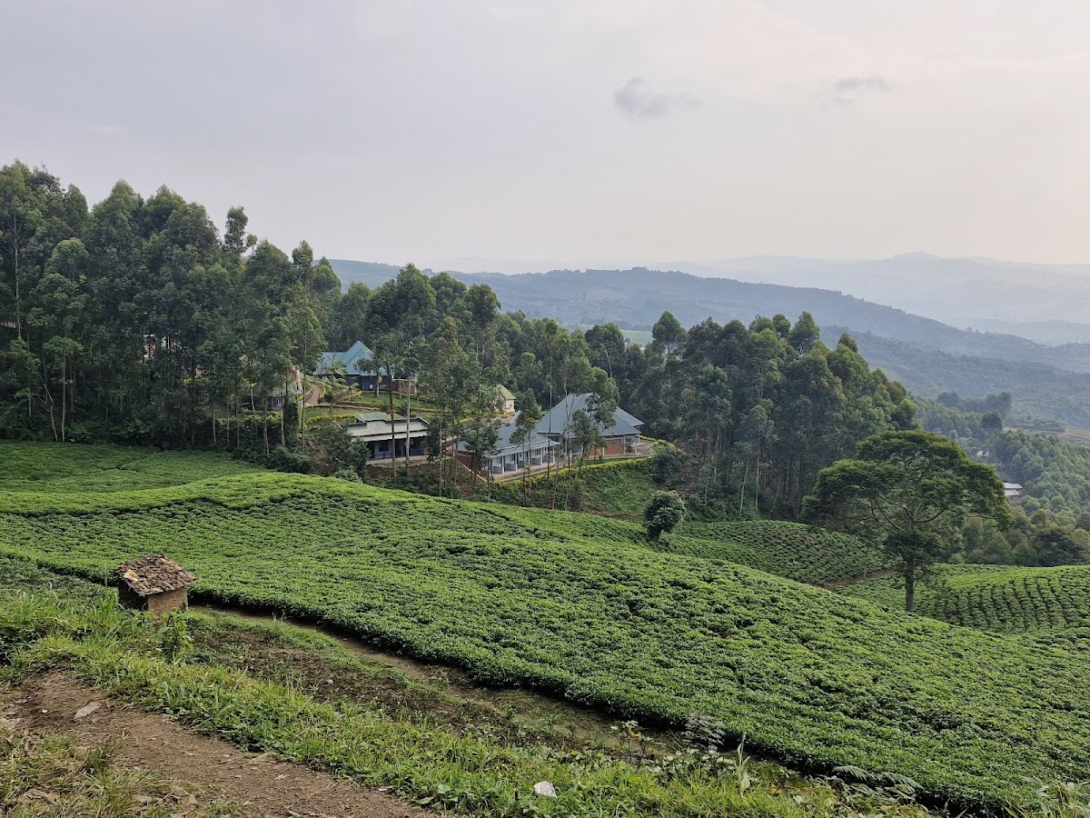 AFRICAN TRAVELLERS LTD — tour operator in 1 KN 78 St, Rwanda – photo 3