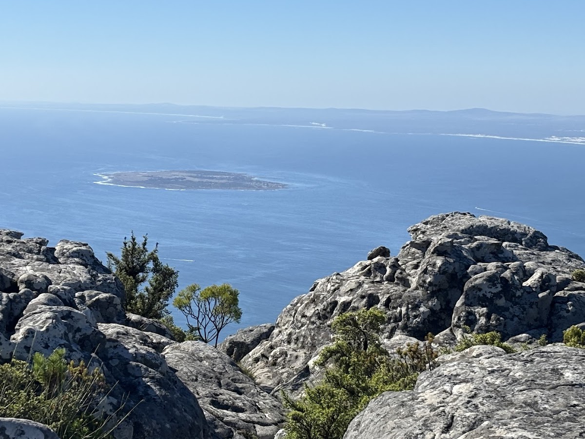 Hylton Ross Tours — tour operator in Cape Town, South Africa – photo 3