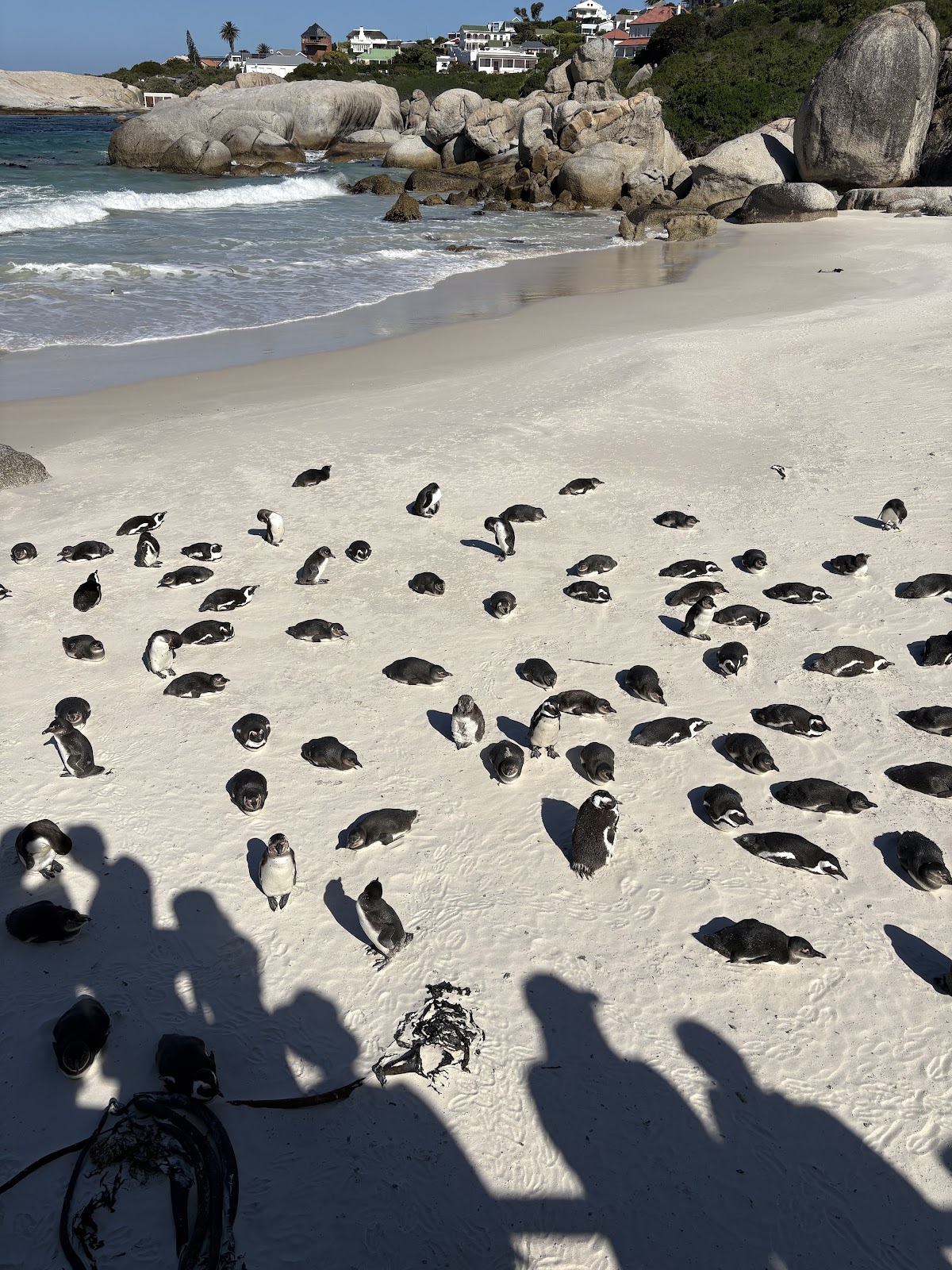 Hylton Ross Tours — tour operator in Cape Town, South Africa – photo 6