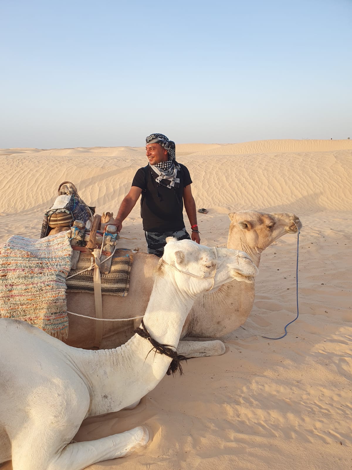Sahel Voyages — tour operator in Rue Palestine, Tunisia – photo 1