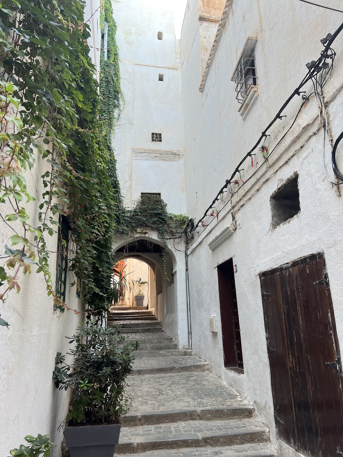 Casbah Events — tour operator in Escalier de la mosquée, Algeria – photo 2