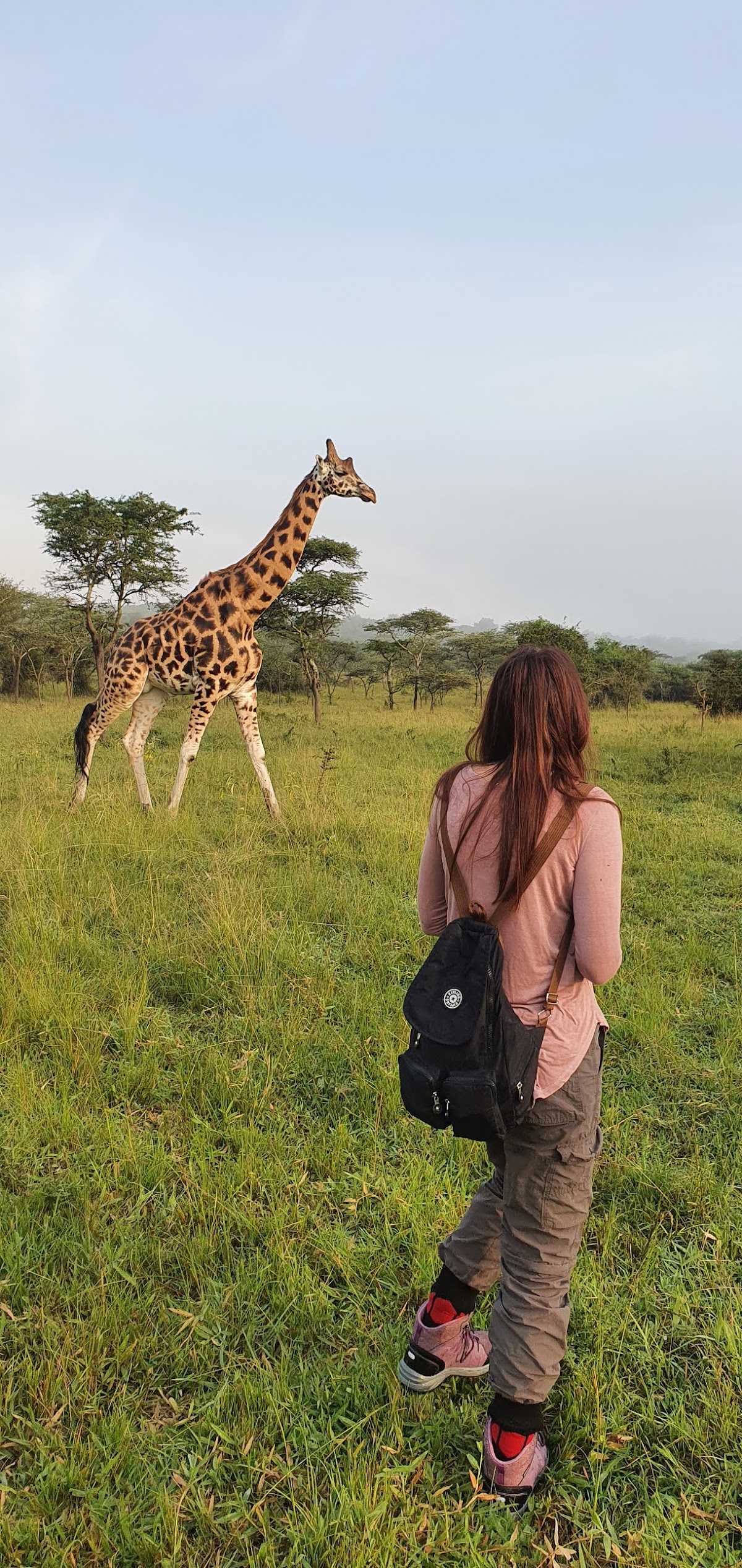 East African Jungle Safaris — tour operator in Ntinda Trading Center, Uganda – photo 1