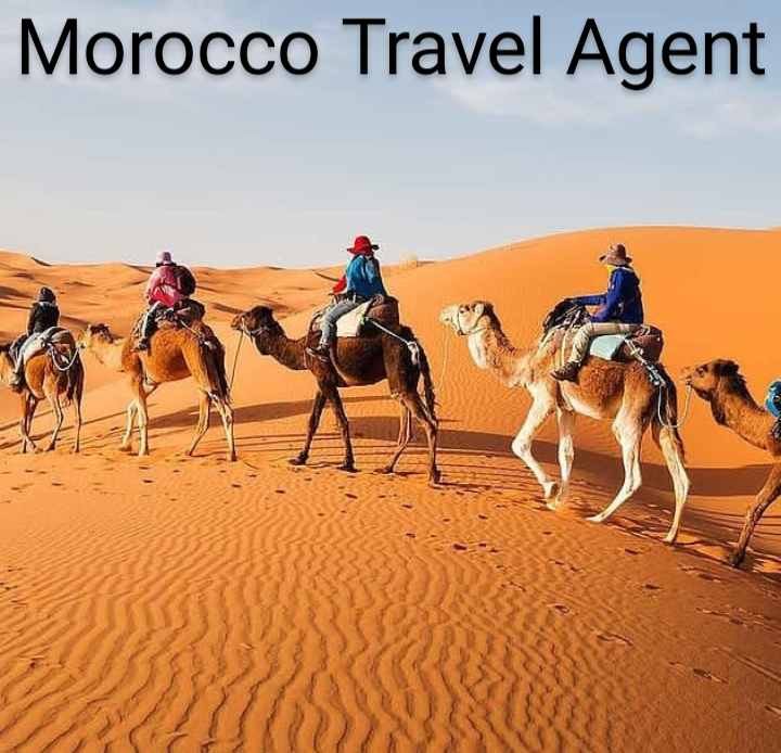 Morocco travel agencies — tour operator in Bd Mohamed VI, Morocco – photo 1