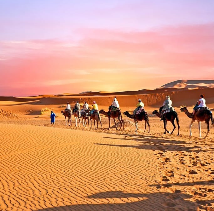 Morocco travel agencies — tour operator in Bd Mohamed VI, Morocco – photo 2