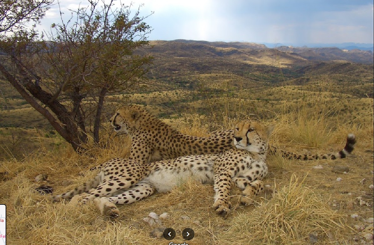 Gazzella Tours — tour operator in 22 Gutsche Street, Namibia – photo 1