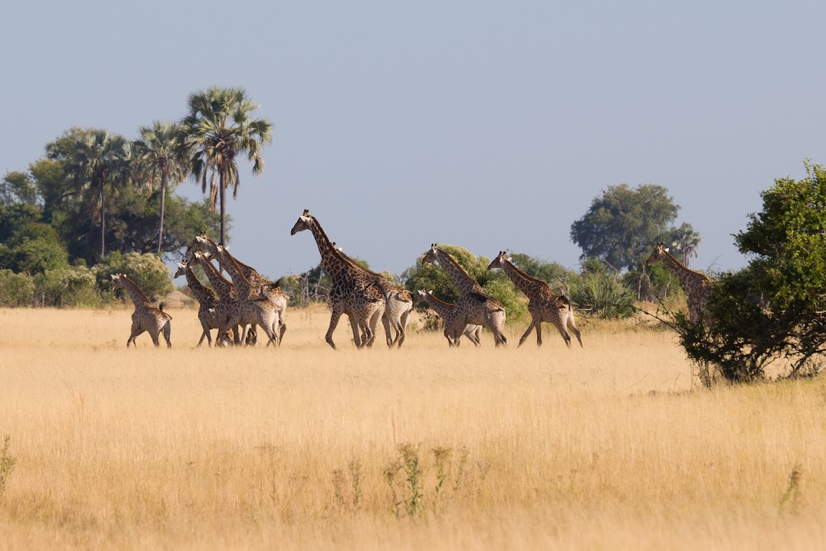 Gazzella Tours — tour operator in 22 Gutsche Street, Namibia – photo 5