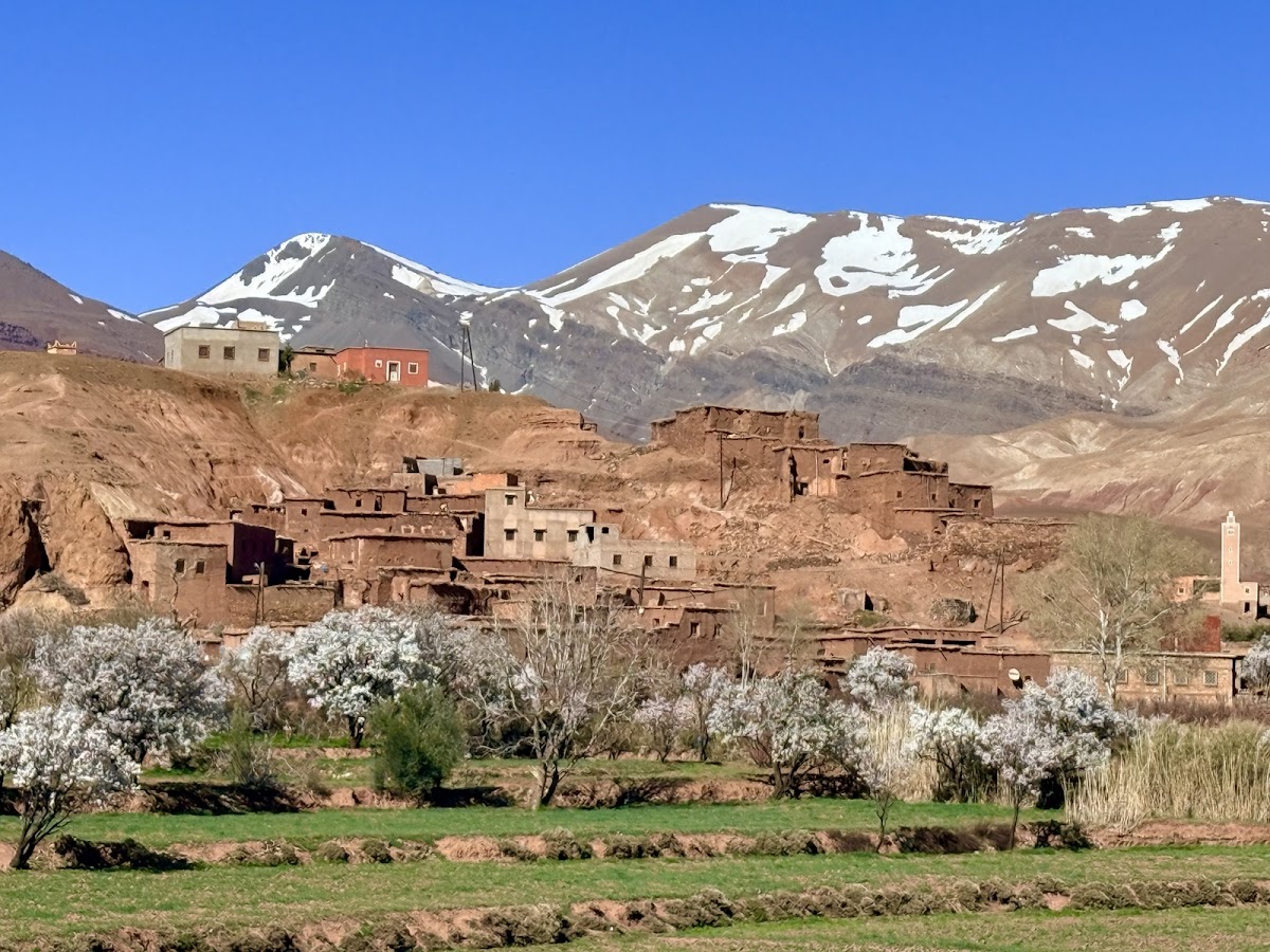 Private tours Marrakech — tour operator in Im D1, Morocco – photo 3