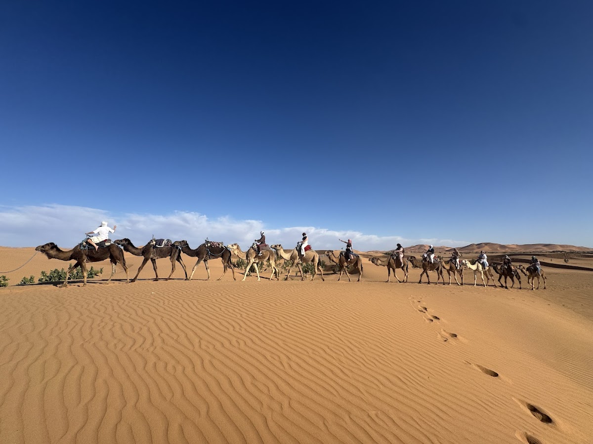 Private tours Marrakech — tour operator in Im D1, Morocco – photo 2