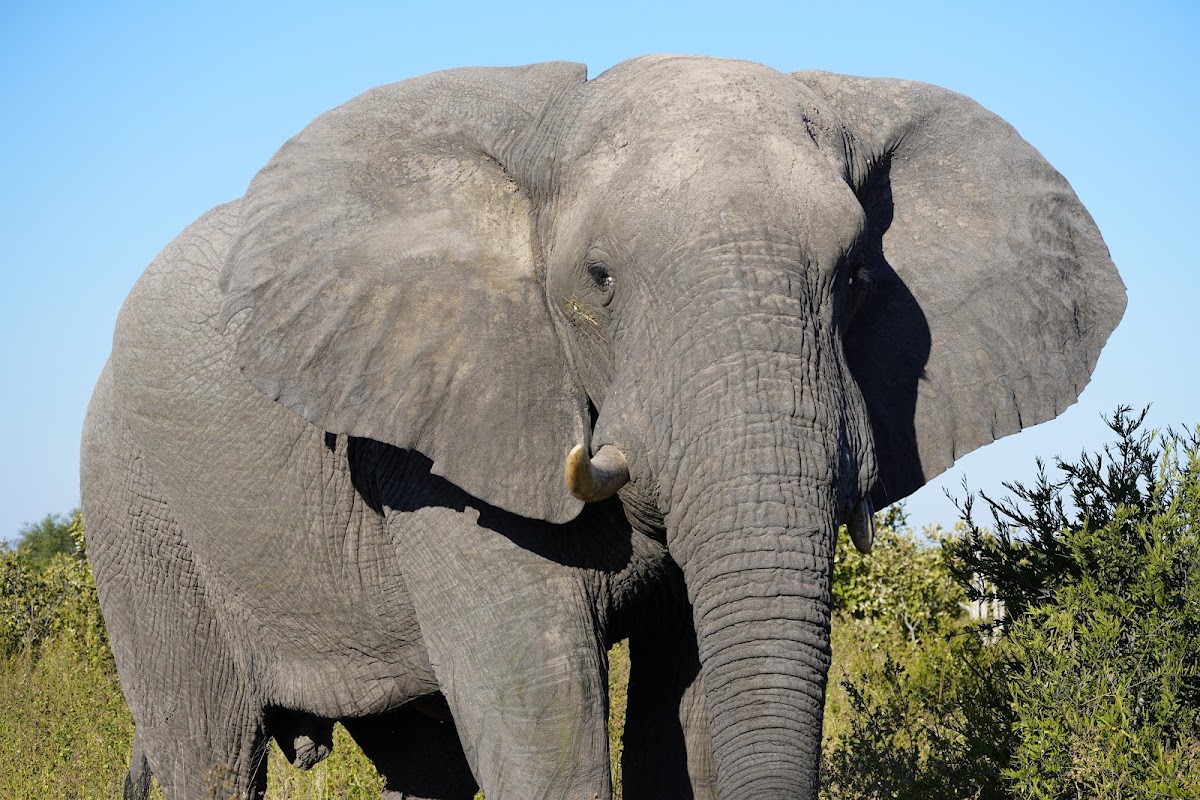 Zambezi Quest Travel And Tours — tour operator in 4 Park Way, Zimbabwe – photo 5