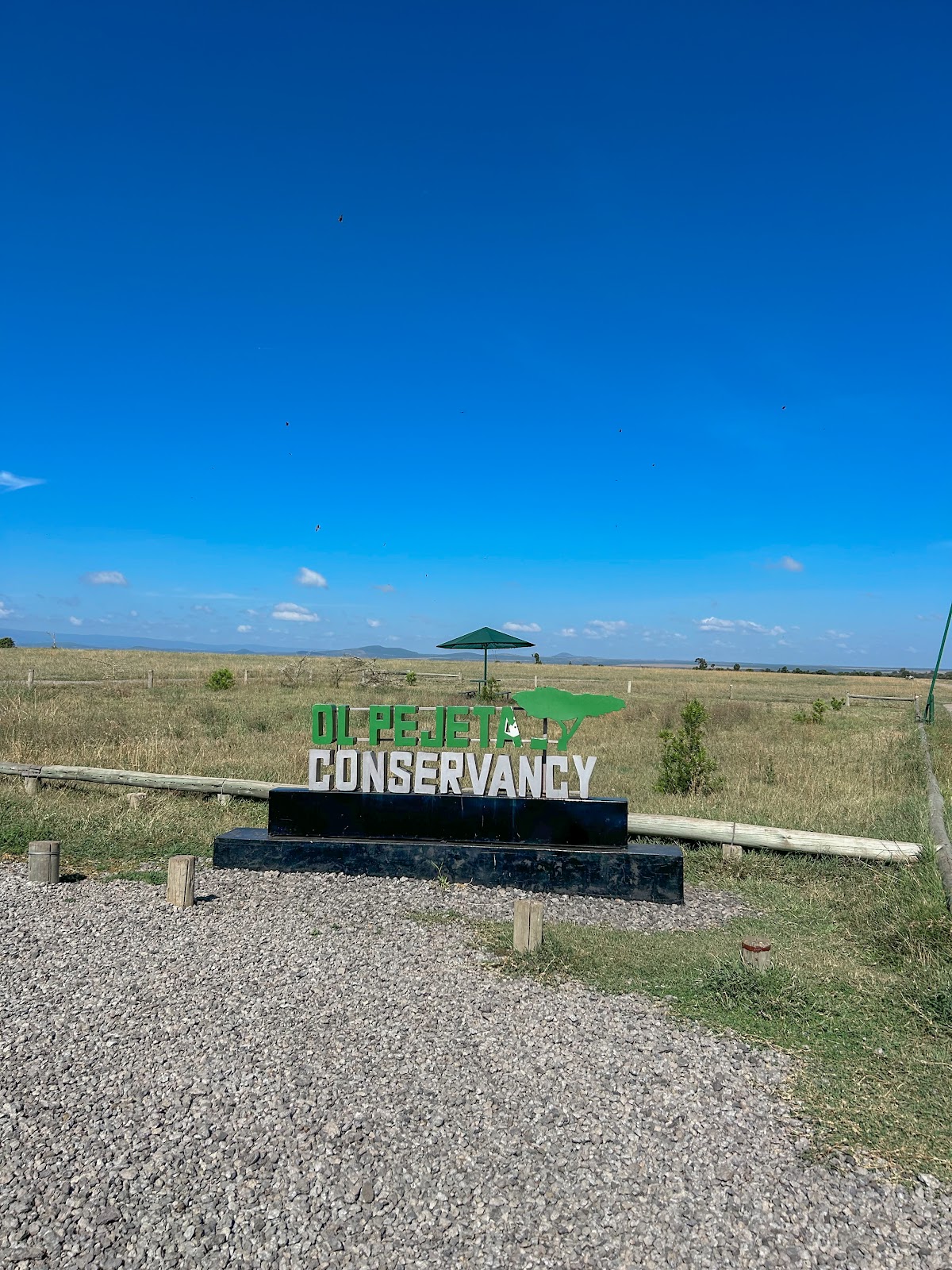 Let's Discover Travel Limited — tour operator in Nairobi, Kenya – photo 5