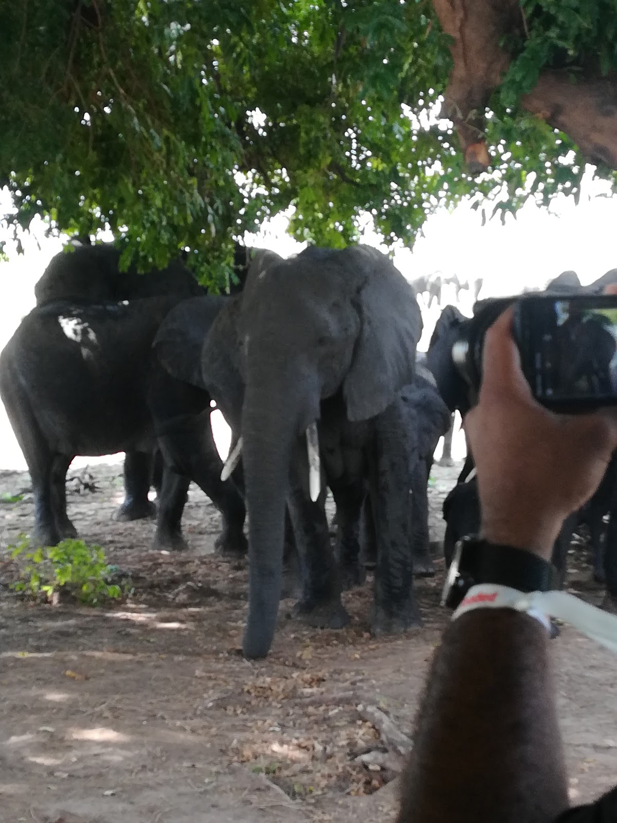 Africa Guide Travel & Tours — tour operator in Park Way, Zimbabwe – photo 3