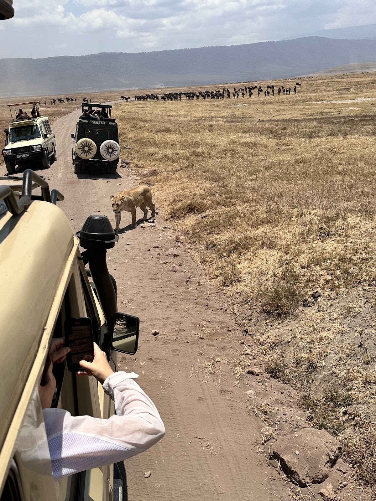 KITANO TOURS AND SAFARIS CO L.T.D | Tanzania Safari Tour operator/company | Kilimanjaro joining group | 1,2,3,4,5 Sharing — tour operator in Mkwawa evenue, Tanzania – photo 2