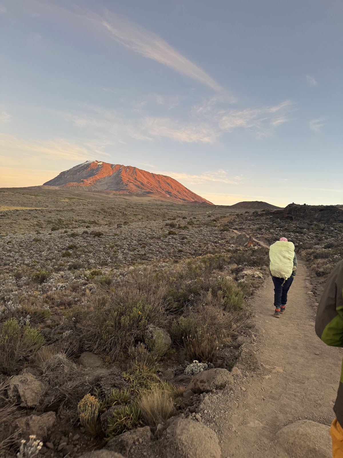 KITANO TOURS AND SAFARIS CO L.T.D | Tanzania Safari Tour operator/company | Kilimanjaro joining group | 1,2,3,4,5 Sharing — tour operator in Mkwawa evenue, Tanzania – photo 5