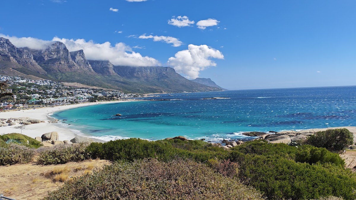 City Sightseeing Cape Town | Official Hop-On Hop-Off Tour — tour operator in Cape Town, South Africa – photo 3