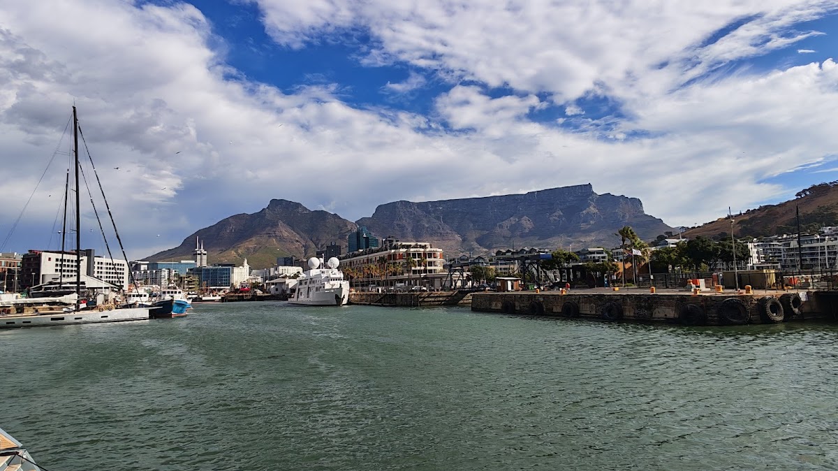 City Sightseeing Cape Town | Official Hop-On Hop-Off Tour — tour operator in Cape Town, South Africa – photo 6