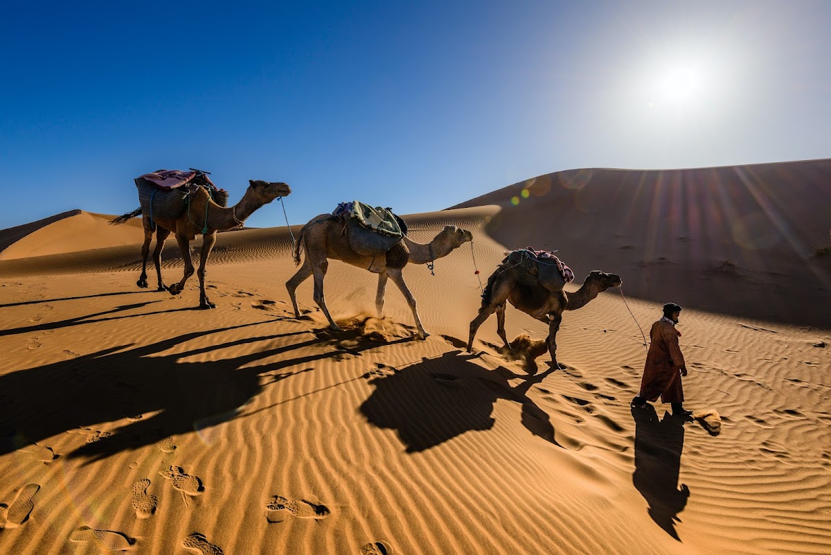 Tunisie Rêves — tour operator in Route Touristique Tozeur، Tozeur 2200, Tunisia – photo 3