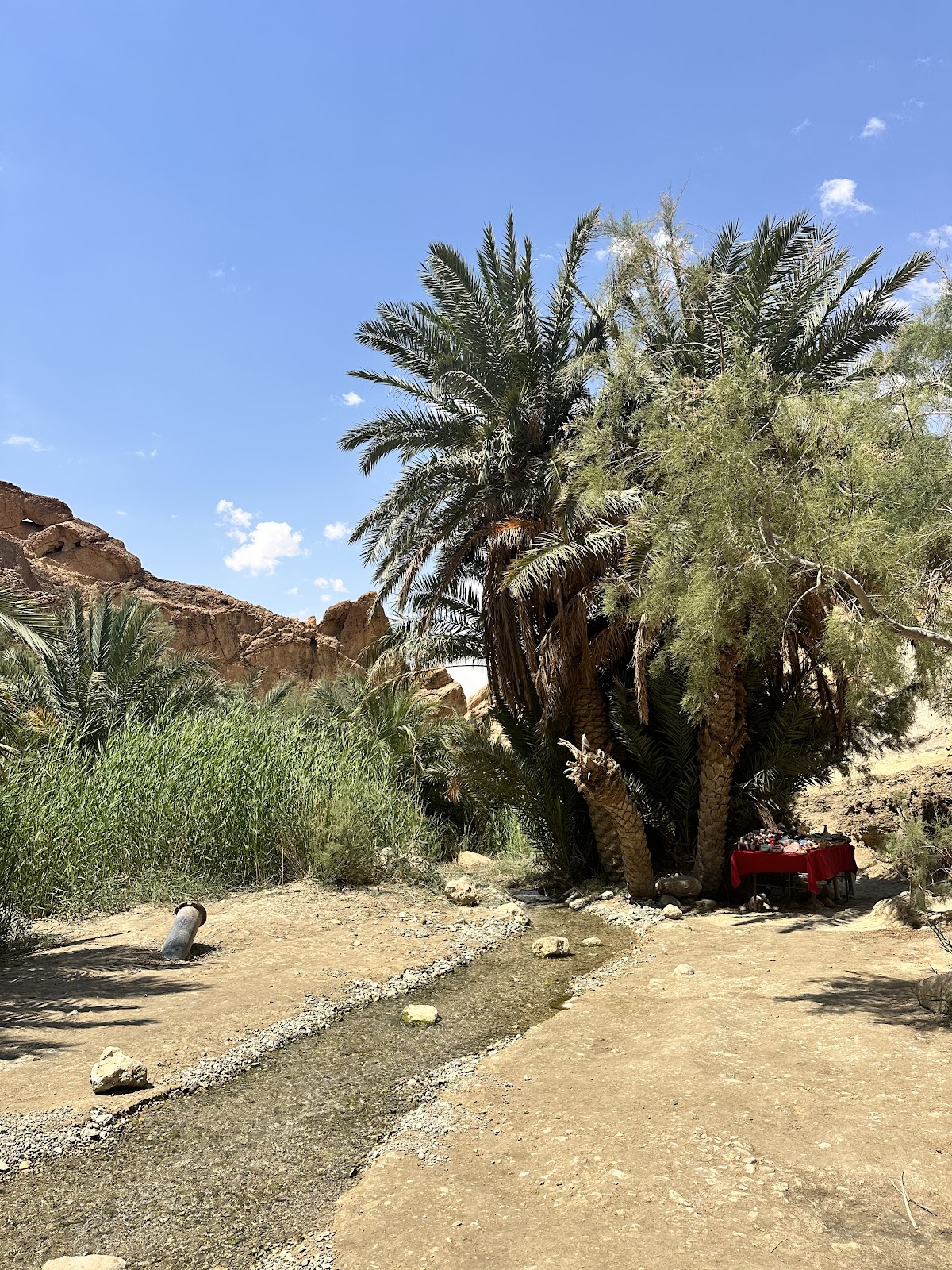 Tunisie Rêves — tour operator in Route Touristique Tozeur، Tozeur 2200, Tunisia – photo 5