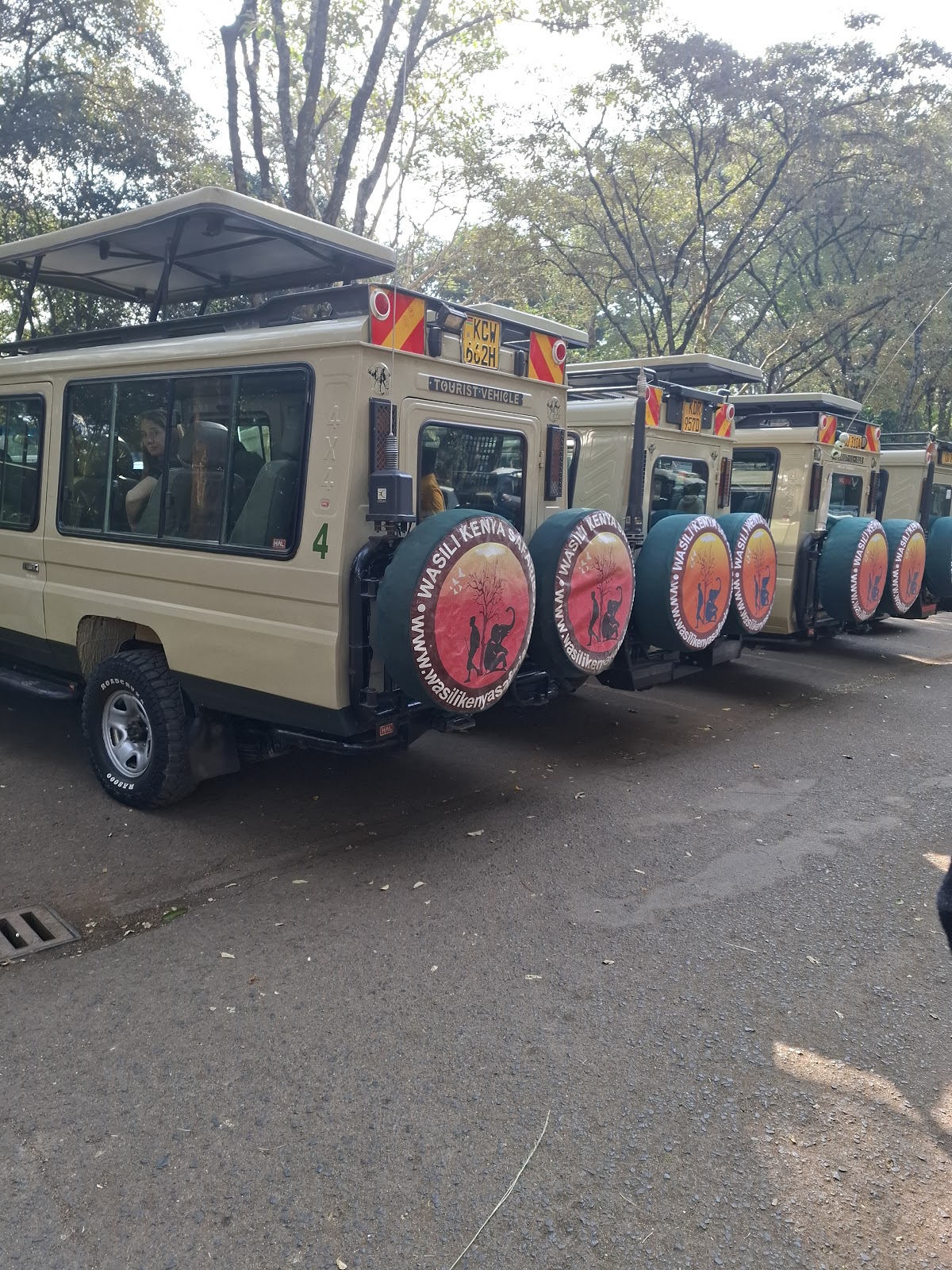WASILI KENYA SAFARIS — tour operator in 7281 Safaripark Ave, Kenya – photo 1