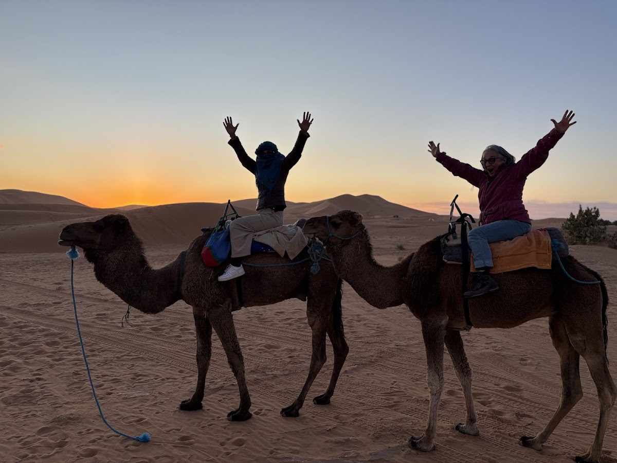 My Travel Tours Morocco : Morocco Tour Operator — tour operator in Marrakesh 40160, Morocco – photo 1