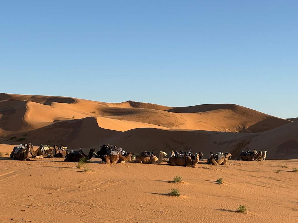 My Travel Tours Morocco : Morocco Tour Operator — tour operator in Marrakesh 40160, Morocco – photo 2