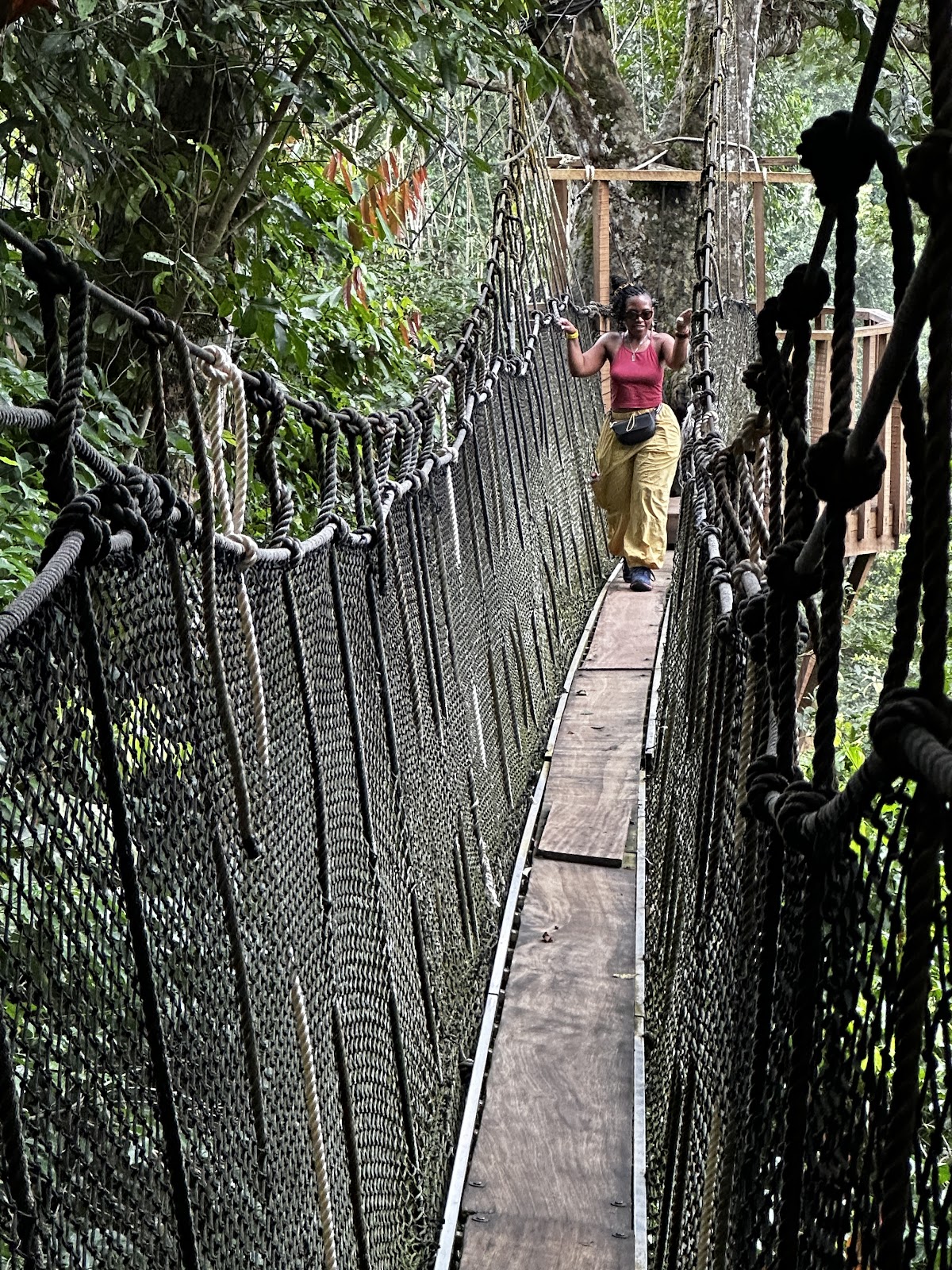 Ghana Must Go Tours — tour operator in Wentum St, Ghana – photo 2
