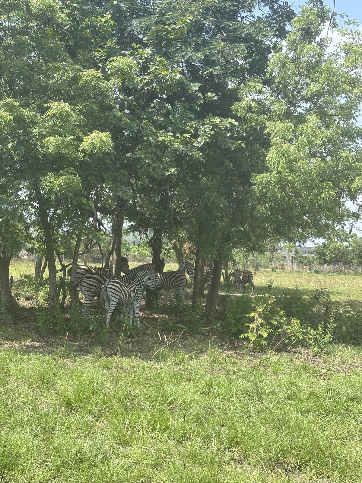 Ghana Must Go Tours — tour operator in Wentum St, Ghana – photo 3