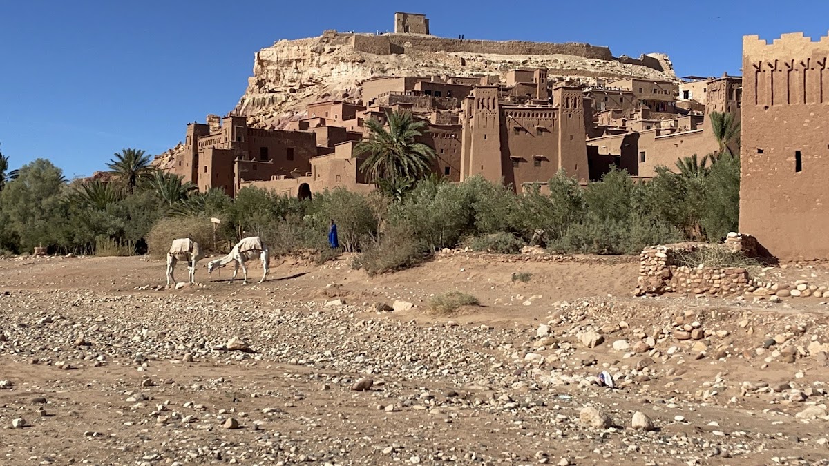 Safari Sahara — tour operator in N° 208 Quartier Industriel Sidi Ghanem Bureau N°dh7, Morocco – photo 3