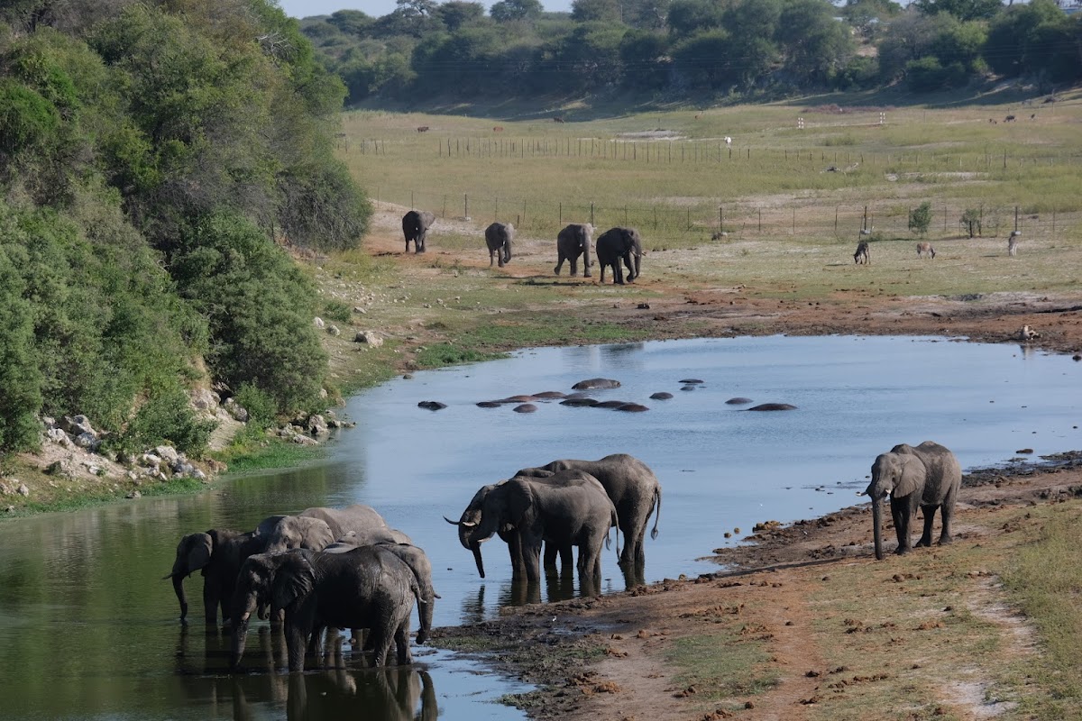 Africa Kamonate Tours & Safaris — tour operator in Mathiba I St, Botswana – photo 2
