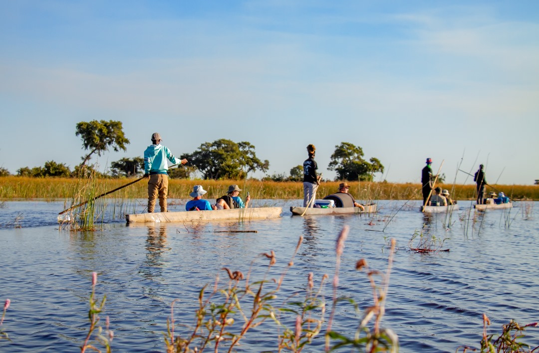Africa Kamonate Tours & Safaris — tour operator in Mathiba I St, Botswana – photo 3