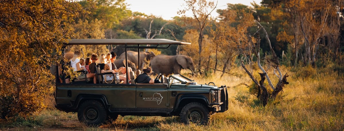 My Africa Safaris | Safari Operator & Travel Company | Hoedspruit — tour operator in Hoedspruit, South Africa – photo 1