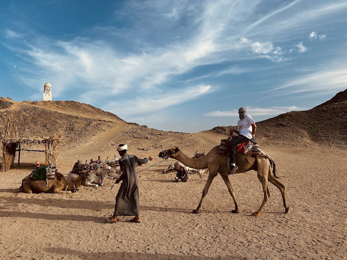 Egypt Tours Lovers | Comfortable Day Trips - Customizable Excursions - Booking online — tour operator in top NBK bank، Plot 17 Airport street، Hurghada 1, Egypt – photo 3