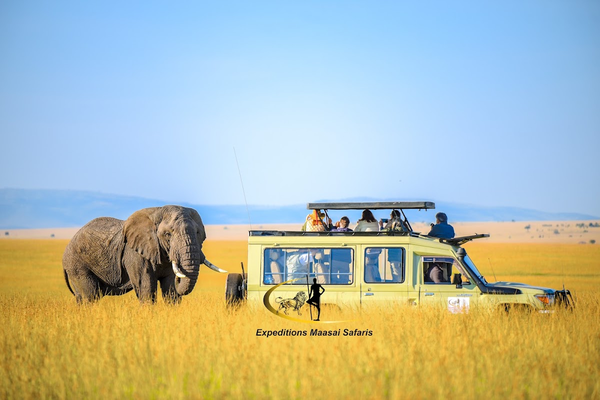🌴Expeditions Maasai Safaris Tour Company & Travel Agency Nairobi |All Kenya & Abroad Trips & Vacations,Mombasa Beach Holidays — tour operator in Wing A., Kenya – photo 6