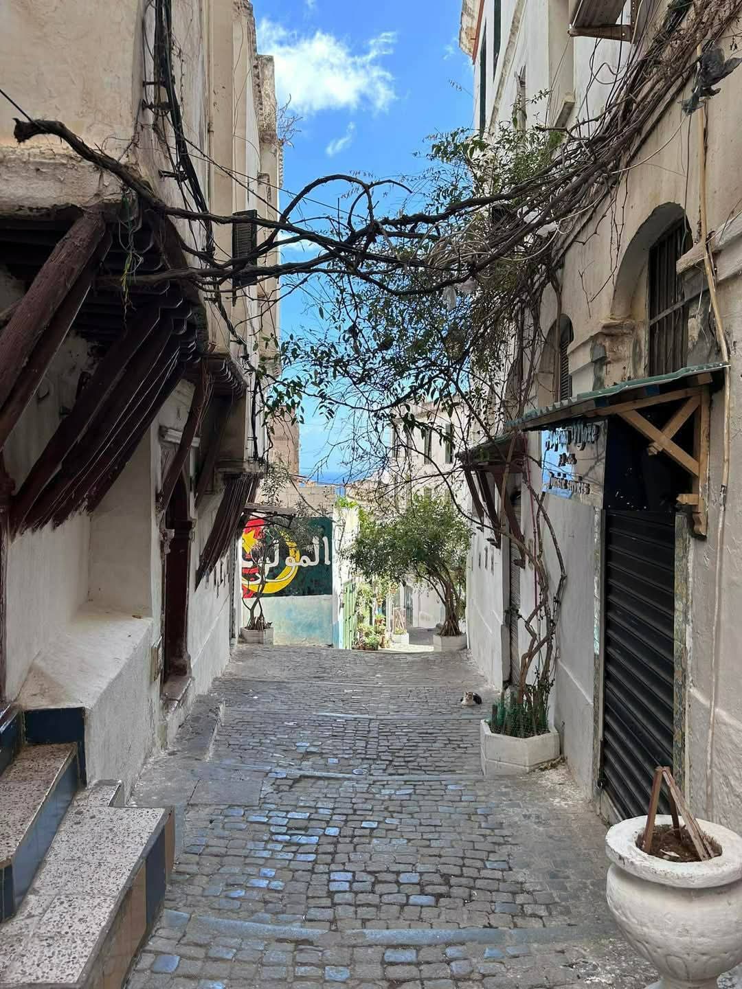 Guide Casbah_houmti — tour operator in Q3P4+7G7, Algeria – photo 2
