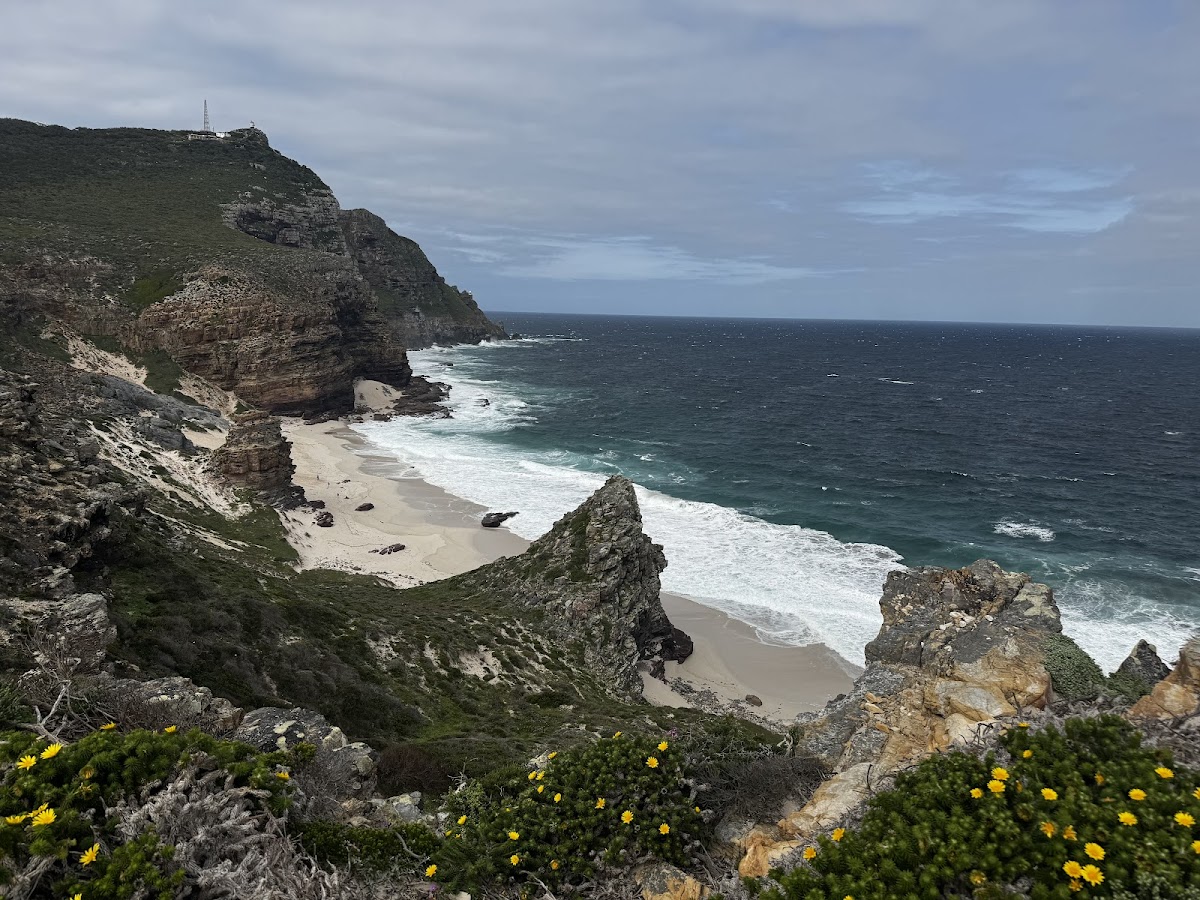 Rani's Cape Town Tour Guide — tour operator in Cape Town, South Africa – photo 4