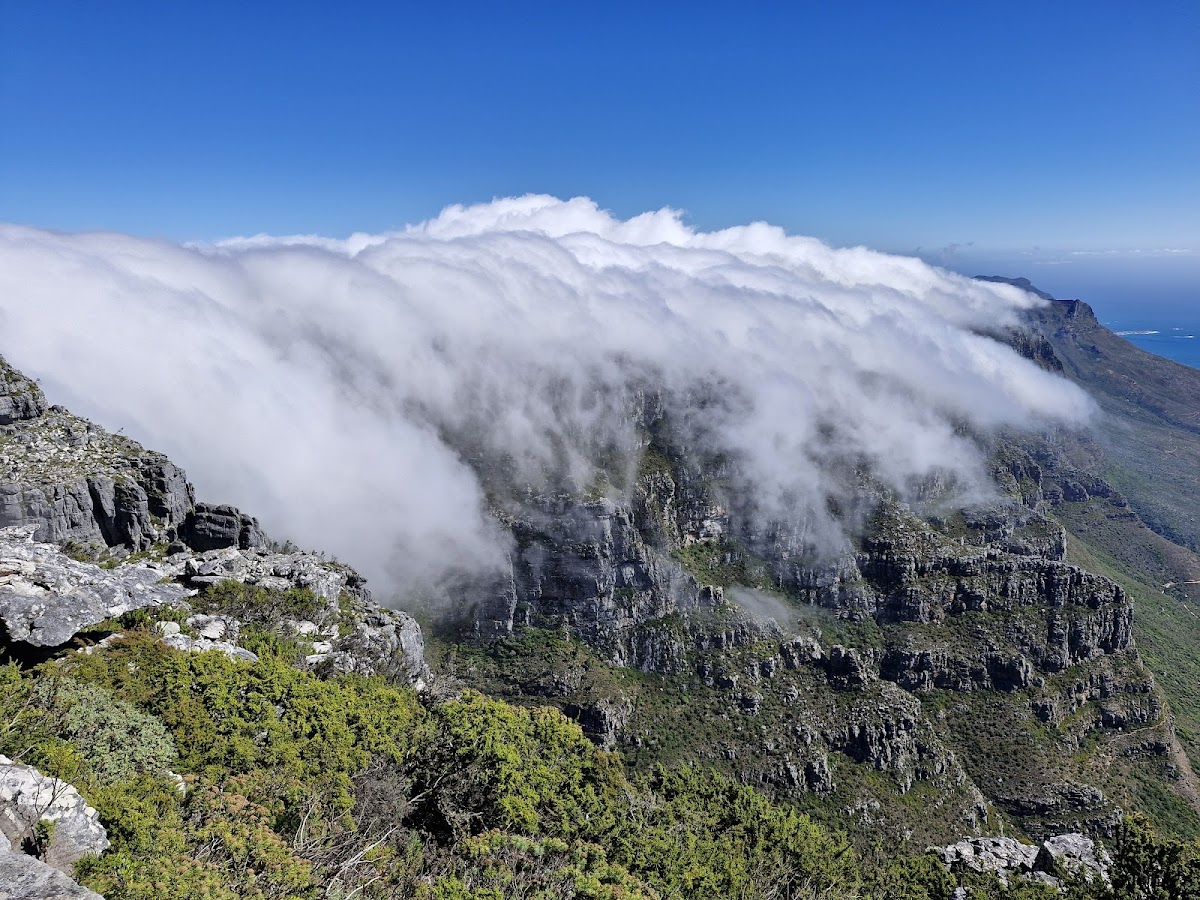 Rani's Cape Town Tour Guide — tour operator in Cape Town, South Africa – photo 5