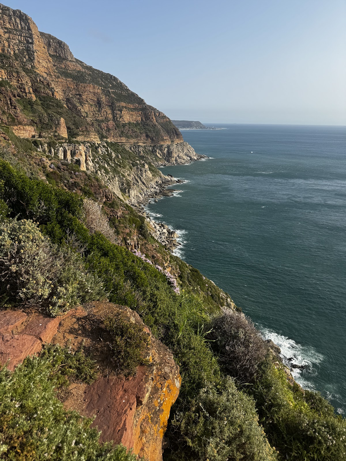 Rani's Cape Town Tour Guide — tour operator in Cape Town, South Africa – photo 2