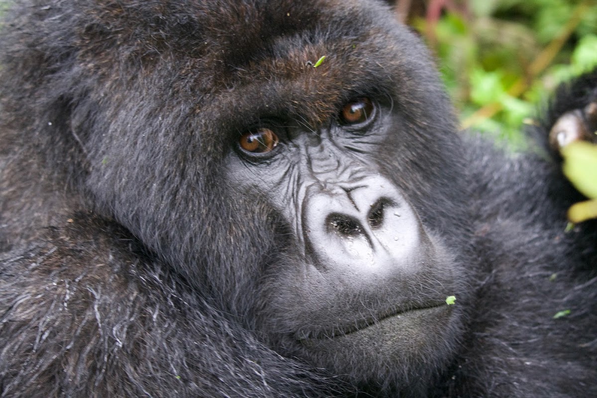 Hermosa Life Tours and Travel Rwanda — tour operator in Makuza Peace Plaza, Rwanda – photo 5